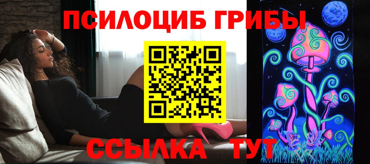 Галлюциногенные грибы Cubensis Вологда