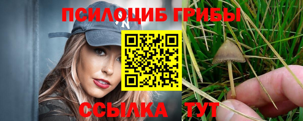 Вологда  Галлюциногенные грибы ЛСД  Вход с VPN 